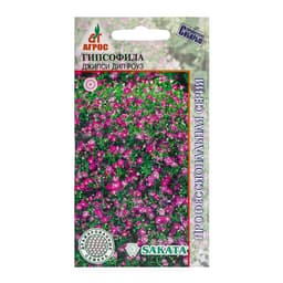 Семена Гипсофила «Джипси Дип Роуз», 5 шт., Sakata, «Агрос»