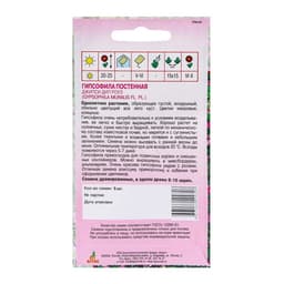 Семена Гипсофила «Джипси Дип Роуз», 5 шт., Sakata, «Агрос»