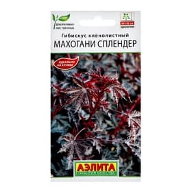 Семена цветов Гибискус кленолистный «Махогани сплендер», 3 шт.