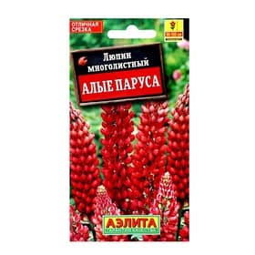 Семена цветов Люпин многолистный «Алые паруса» многолетний, 15 шт.