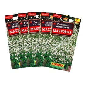 Семена цветов Гипсофила метельчатая «Махровая», набор 5 шт.