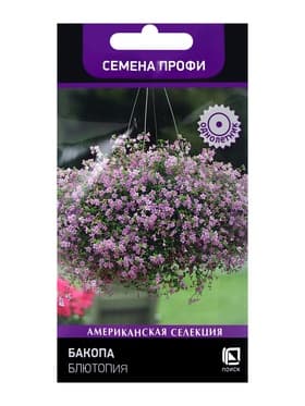 Семена цветов Бакопа «Блютопия», 5 шт.