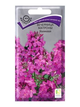 Семена цветов Вечерница Матроны, малиновая, 0.3 г, «Поиск»