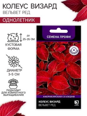 Семена цветов Колеус Визард Вельвет ред, 10шт