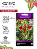 Семена цветов Колеус Визард Роуз, 10шт