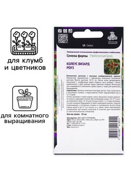 Семена цветов Колеус Визард Роуз, 10шт