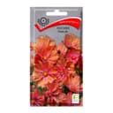 Семена цветов Космея Иллюзия, 10шт