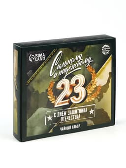 Чай подарочный «23 февраля», листовой 2 шт., пакетированный 12 шт.