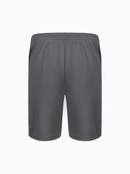 Шорты мужские Resport, размер XL (52), серые