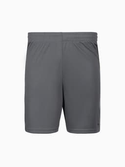 Шорты мужские Resport, размер XL (52), серые