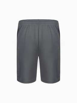 Шорты мужские Resport, размер XL (52), серые
