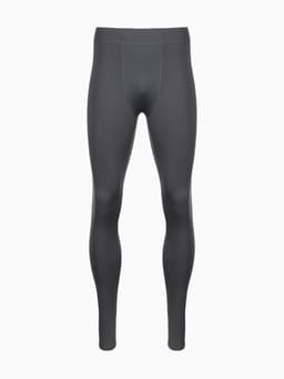 Тайтсы мужские Resport, размер 50, серые