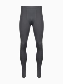 Тайтсы мужские Resport, размер 48, серые