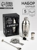 Набор для приготовления коктейлей «100% крутой», 5 предметов