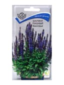 Семена цветов Шалфей пышный Фиолетовый, 0,1гр