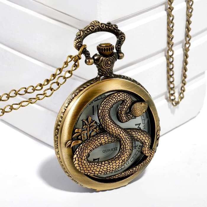 Часы карманные «Змея», кварцевые, длина цепочки 40 см, циферблат d=4.5 см, медные