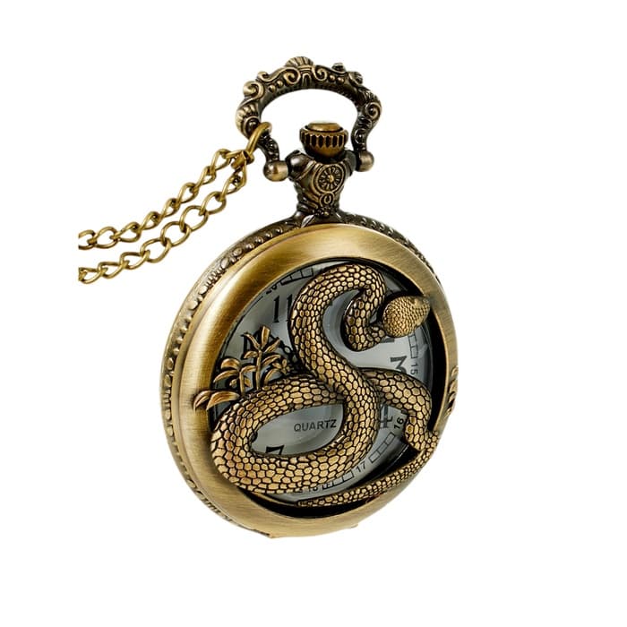 Часы карманные «Змея», кварцевые, длина цепочки 40 см, циферблат d=4.5 см, медные