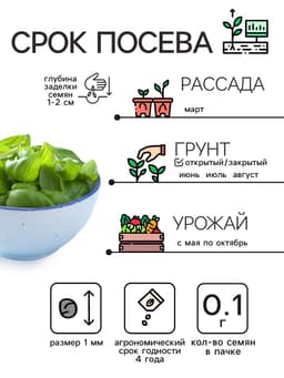 Семена Базилик «Зелёный ароматный», 0.1 г, среднеранний, «Рецепты дедушки Никиты»