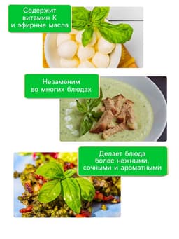 Семена Базилик «Зелёный ароматный», 0.1 г, среднеранний, «Рецепты дедушки Никиты»