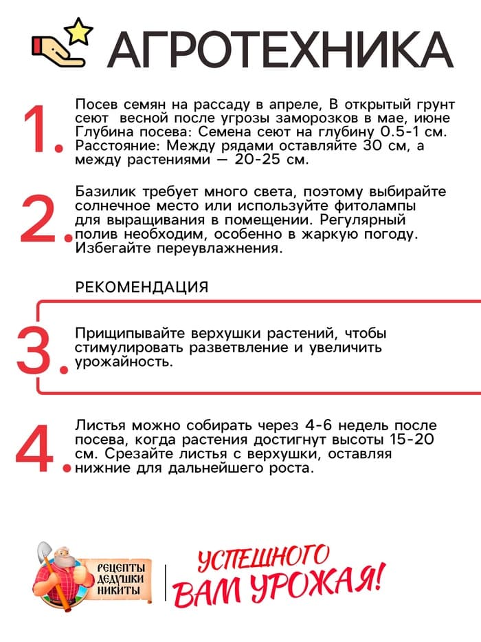 Семена Базилик «Зелёный ароматный», 0.1 г, среднеранний, «Рецепты дедушки Никиты»
