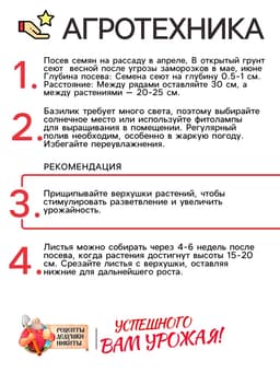 Семена Базилик «Зелёный ароматный», 0.1 г, среднеранний, «Рецепты дедушки Никиты»