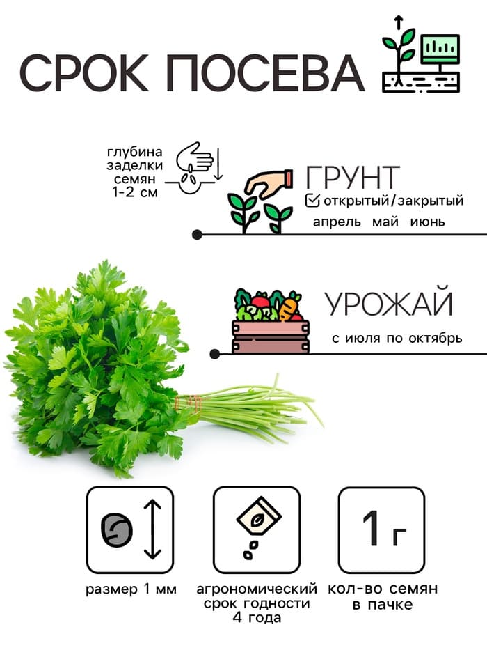 Семена Петрушка "Итальянский богатырь", 1 г