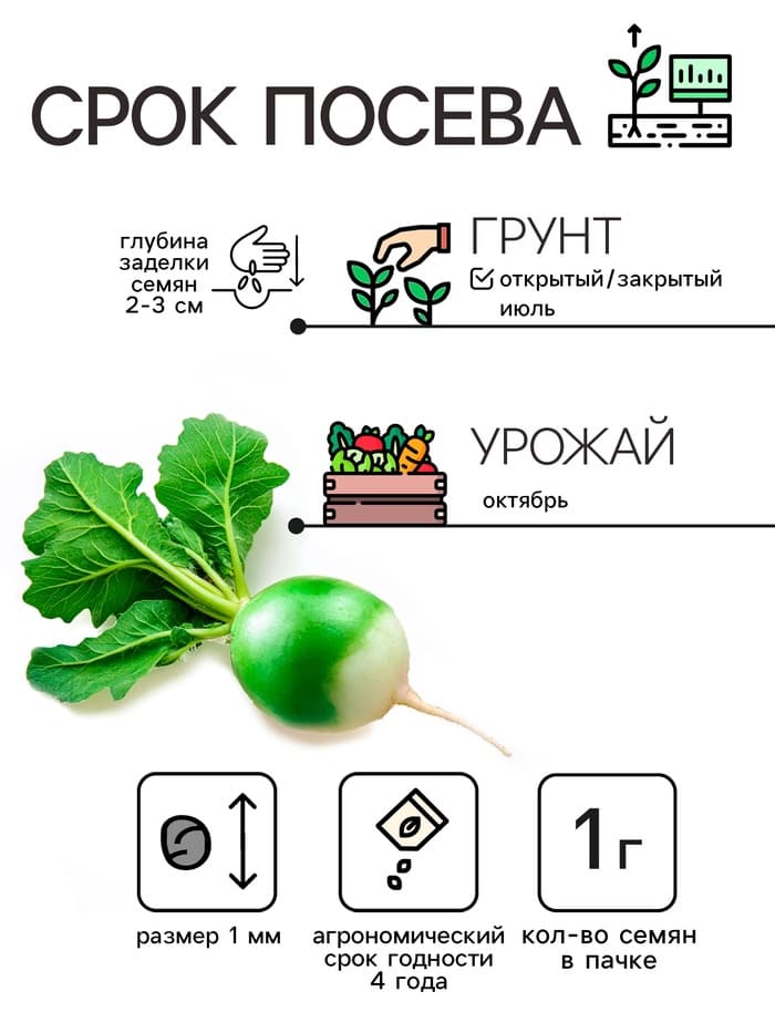 Семена Редька "Маргеланская", 1 г