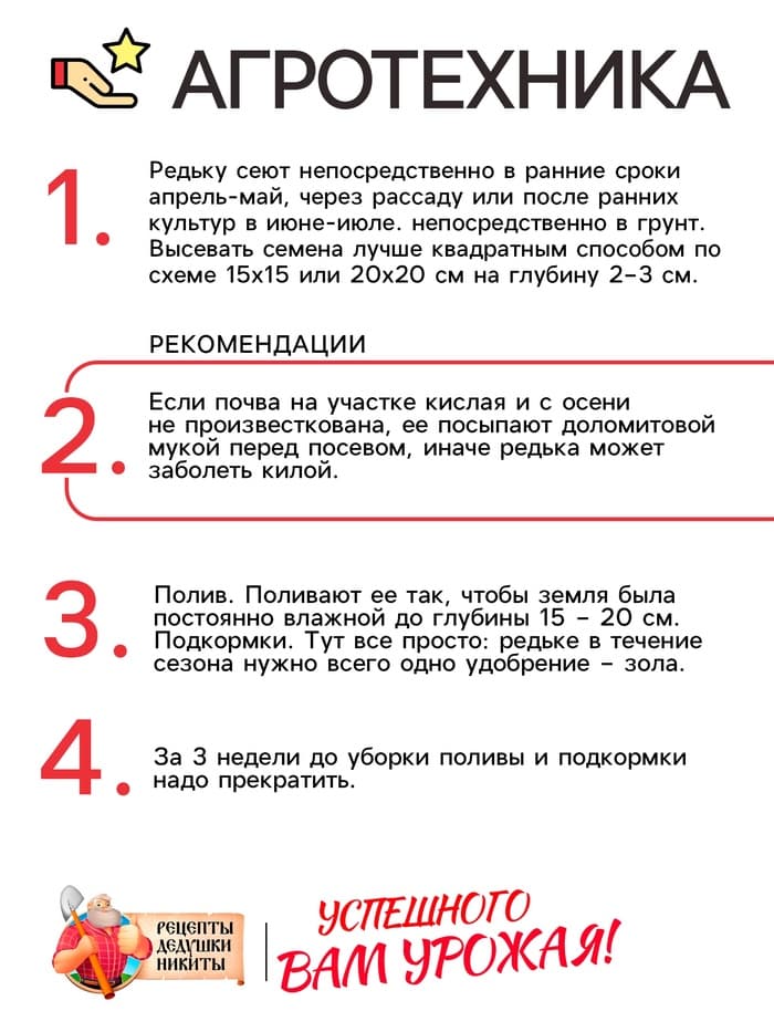 Семена Редька "Маргеланская", 1 г