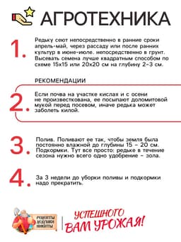 Семена Редька "Маргеланская", 1 г