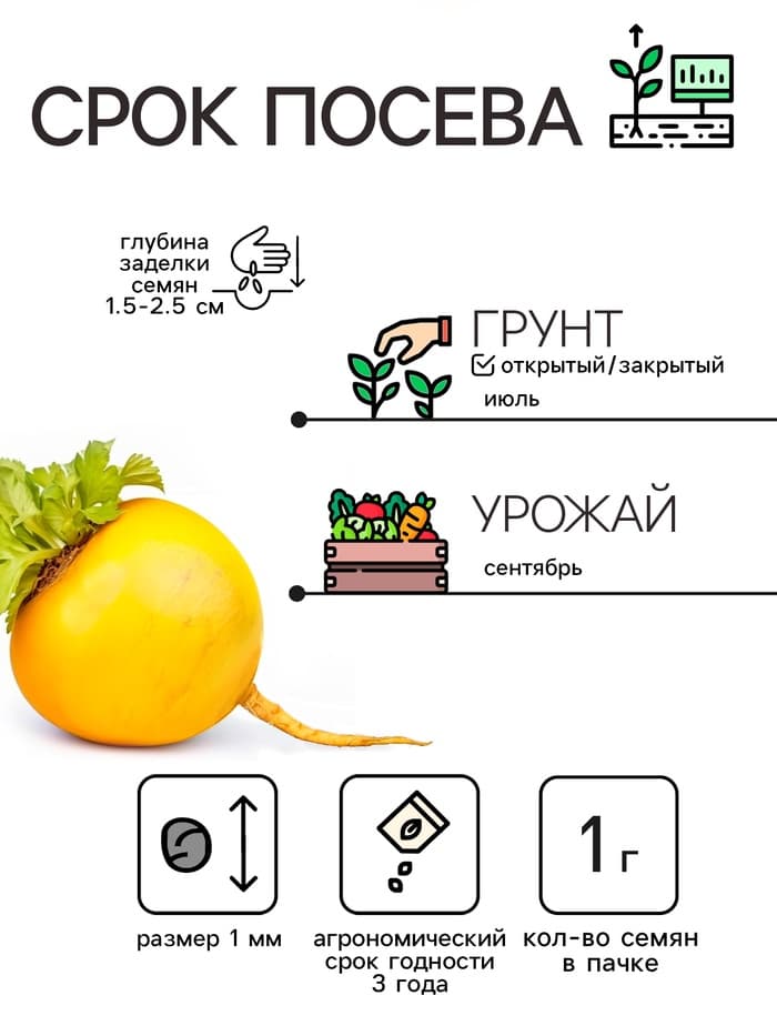 Семена Репа "Петровская 1", 1 г