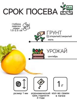 Семена Репа "Петровская 1", 1 г