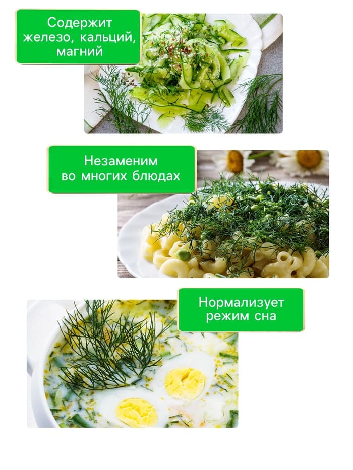 Семена Укроп «Крокодил», 2 г, «Рецепты дедушки Никиты»