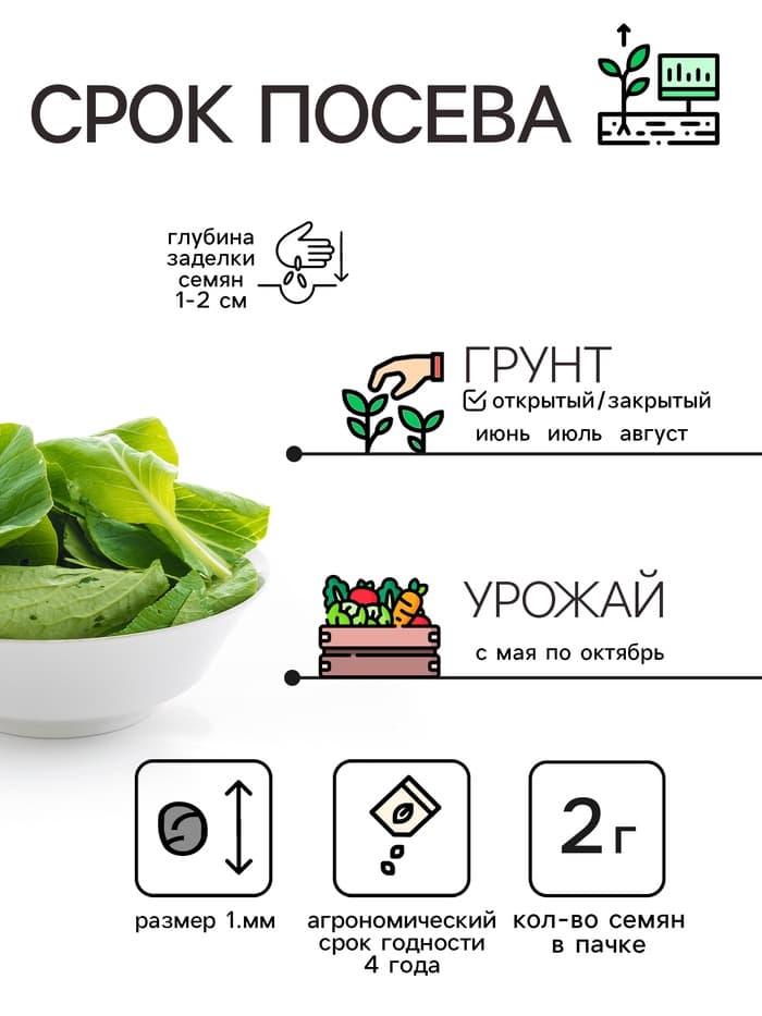 Семена Шпинат "Родео", 2 г