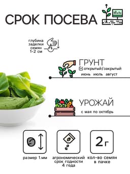 Семена Шпинат "Родео", 2 г