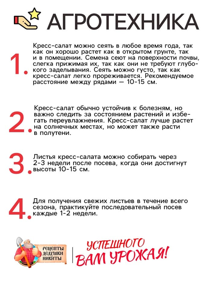 Семена Шпинат "Родео", 2 г