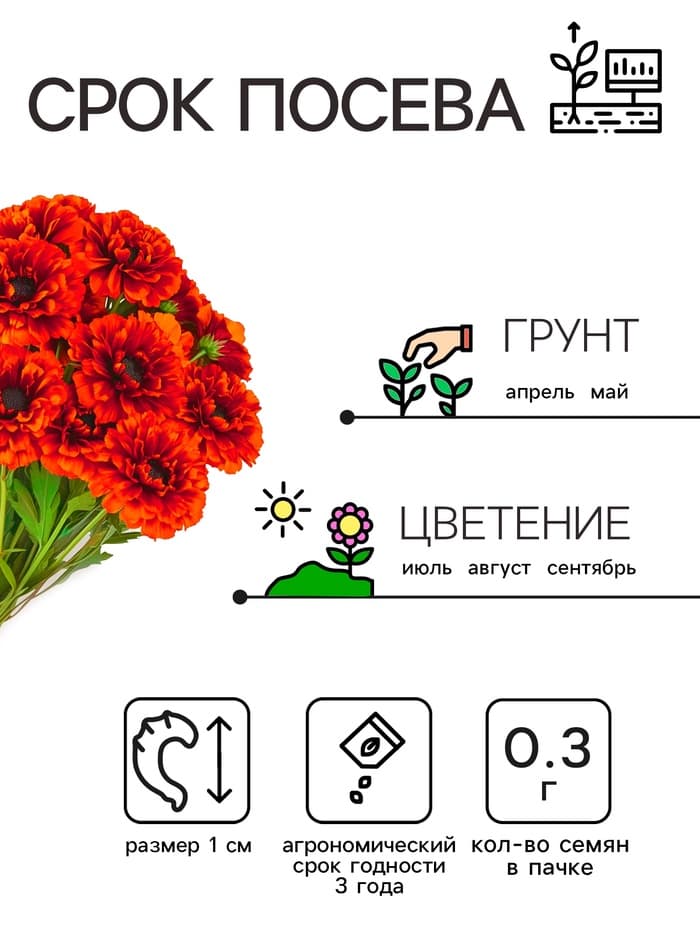 Семена цветов Календула махровая «Ред виз блэк центр», 0.3 г, «Рецепты дедушки Никиты»