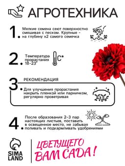 Семена цветов Календула махровая «Ред виз блэк центр», 0.3 г, «Рецепты дедушки Никиты»