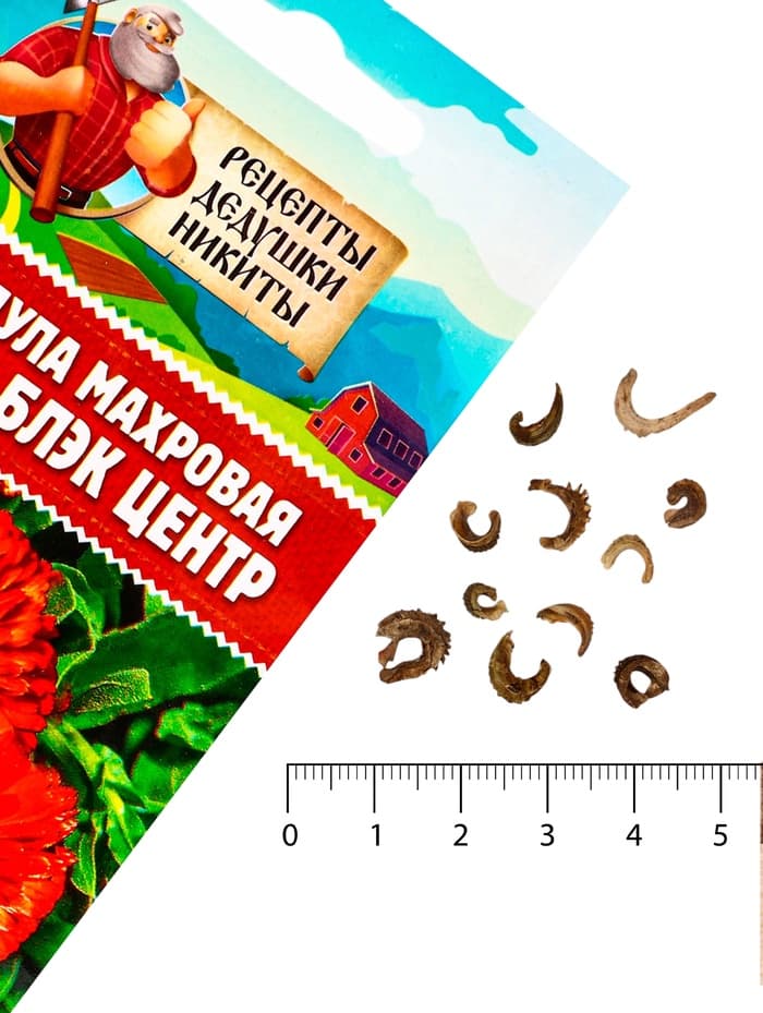 Семена цветов Календула махровая «Ред виз блэк центр», 0.3 г, «Рецепты дедушки Никиты»