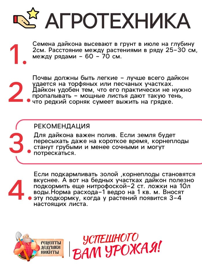 Семена Дайкон «Нацукаши», 1 г, «Рецепты дедушки Никиты»