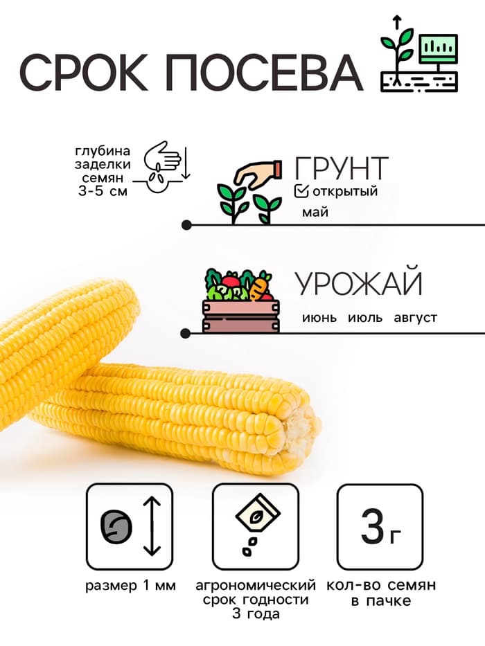 Семена Кукуруза «Краснодарский сахарный 250 CB», 3 г, «Рецепты дедушки Никиты»