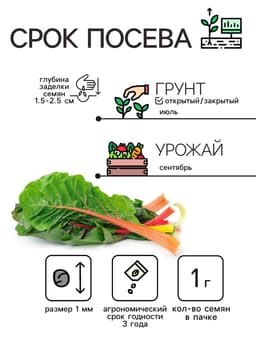 Семена Мангольд «Павлиний хвост», смесь, 1 г, однолетник, раннеспелый, «Рецепты дедушки Никиты»