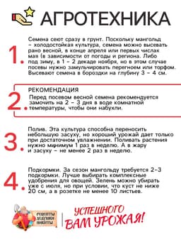 Семена Мангольд «Павлиний хвост», смесь, 1 г, однолетник, раннеспелый, «Рецепты дедушки Никиты»