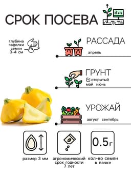 Семена Патиссон "Солнышко", 0,5 г