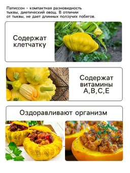 Семена Патиссон "Солнышко", 0,5 г