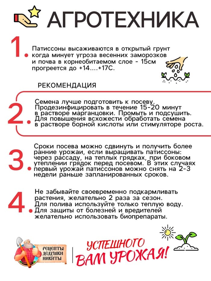 Семена Патиссон "Солнышко", 0,5 г