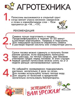 Семена Патиссон "Солнышко", 0,5 г