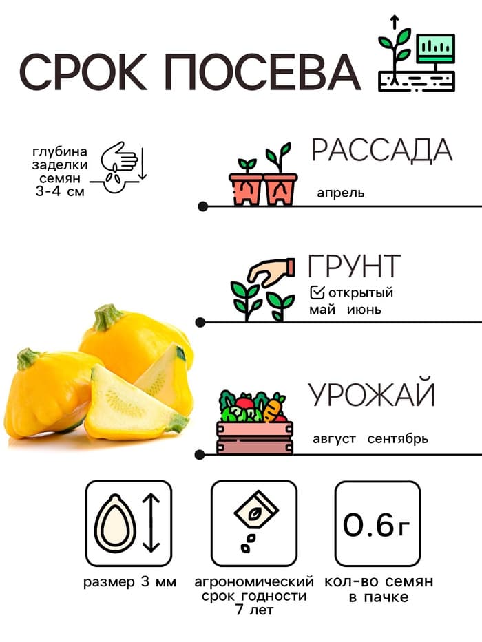 Семена Патиссон «Копейка» 0.6 г, «Рецепты дедушки Никиты»