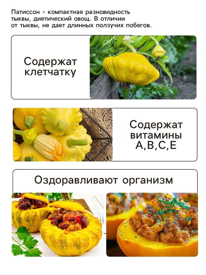 Семена Патиссон «Копейка» 0.6 г, «Рецепты дедушки Никиты»