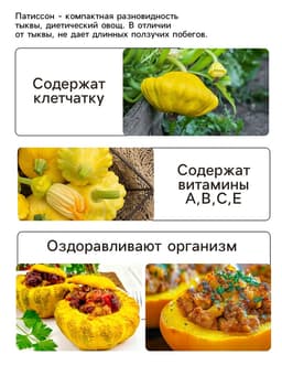 Семена Патиссон «Копейка» 0.6 г, «Рецепты дедушки Никиты»