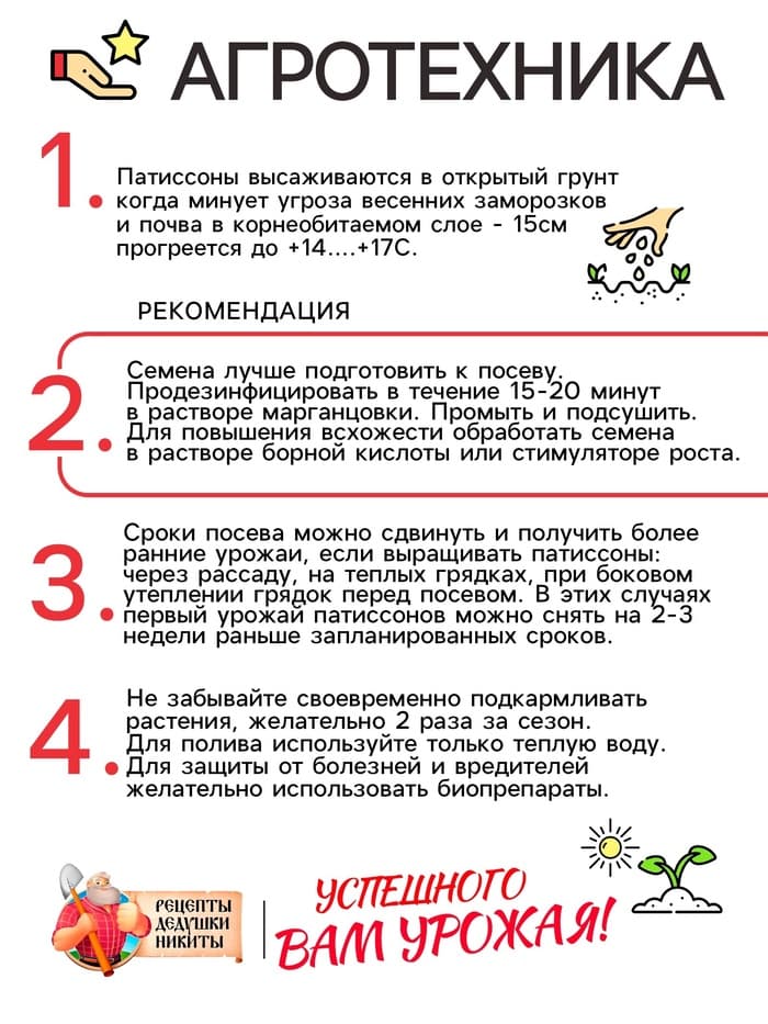 Семена Патиссон «Копейка» 0.6 г, «Рецепты дедушки Никиты»